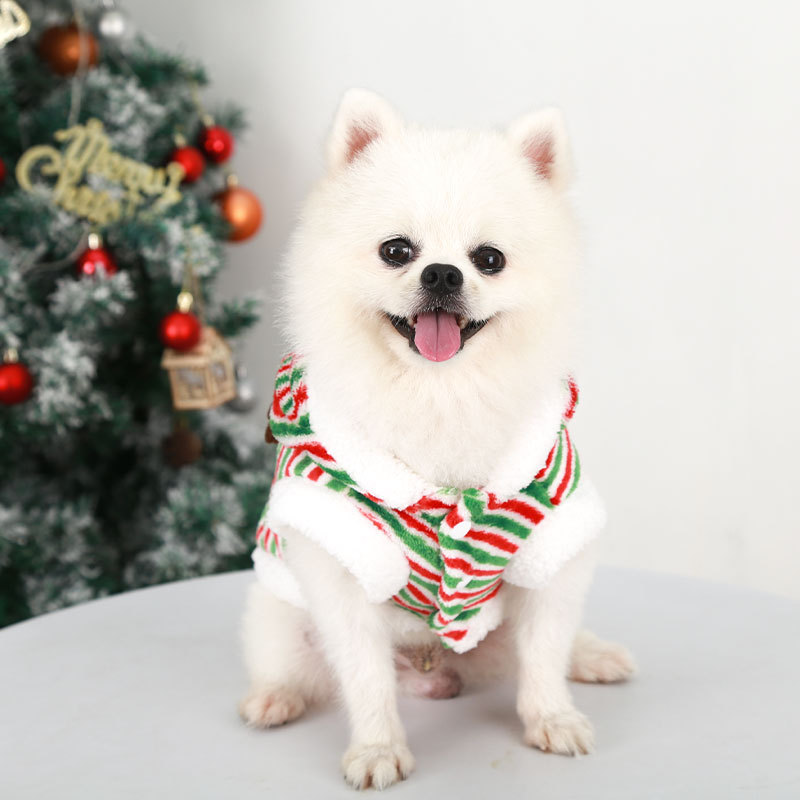 Merry Christmas Pet Clothes Do - đánh giá và giá Winter Clothing Looks
