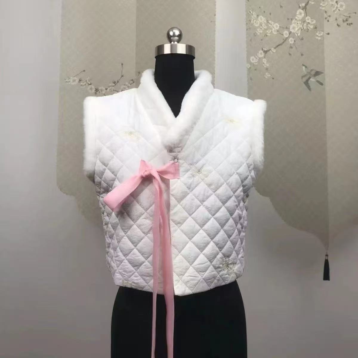 Winter Hanbok Vest Women's Tra - đánh giá và giá Winter Clothing Looks